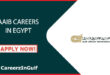 AAIB Careers